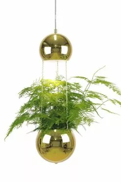 Globen Lighting Pendel Mini Planter Mässing